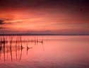valencia's albufera