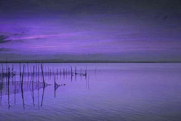 valencia's albufera valencia's albufera
